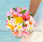 �v�������A�u�[�P